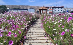 狙击部队电视剧全集爱奇艺